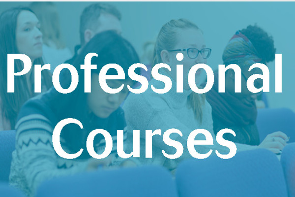 Professional Courses