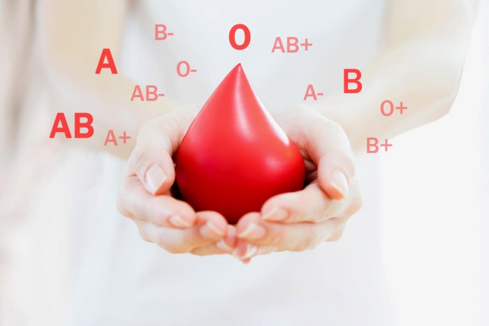 Blood Bank & Blood Donors