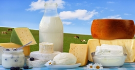 Dairy &amp; Dairy Products